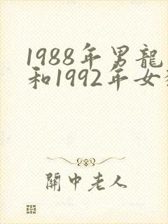 1988年男龙和1992年女猴婚姻