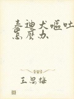 泰迪犬呕吐拉稀怎么办