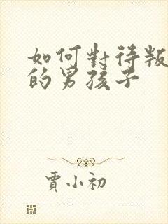 如何对待叛逆期的男孩子