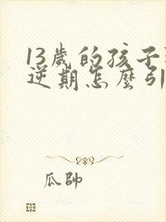 13岁的孩子叛逆期怎么引导