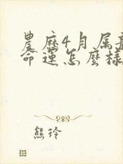 农历4月属龙的命运怎么样