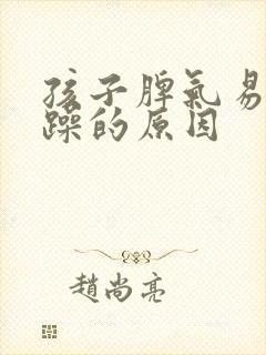 孩子脾气易怒暴躁的原因