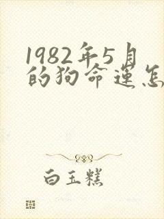 1982年5月的狗命运怎么样