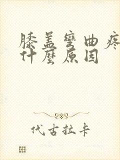 膝盖弯曲疼痛是什么原因封面