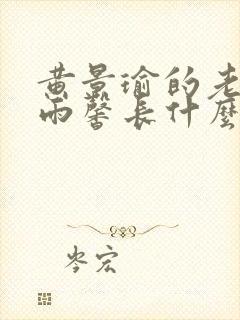 黄景瑜的老婆王雨馨长什么样