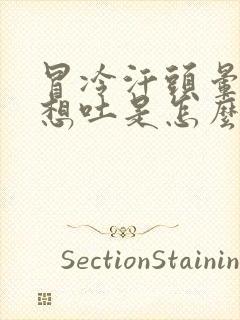 冒冷汗头晕恶心想吐是怎么回事