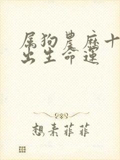 属狗农历十二月出生命运封面