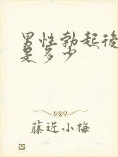 男性勃起后直径是多少