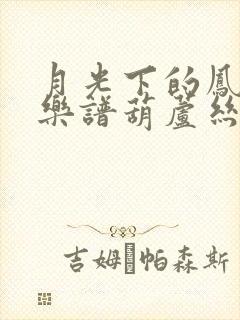 月光下的凤尾竹乐谱葫芦丝曲