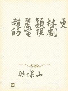 赵丽颖林更新演的电视剧封面