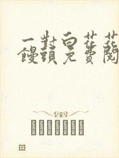 一对白花花的大馒头免费阅读