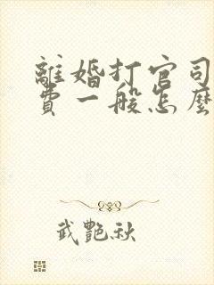 离婚打官司律师费一般怎么收费