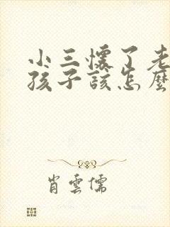 小三怀了老公的孩子该怎么办