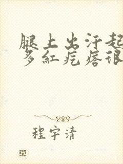 腿上出汗起了好多红疙瘩很痒封面