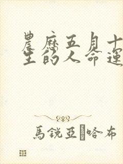 农历五月十六出生的人命运男