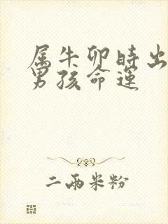 属牛卯时出生的男孩命运封面