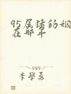 95属猪的姻缘在哪年