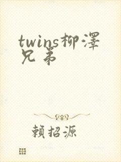 twins柳泽兄弟封面