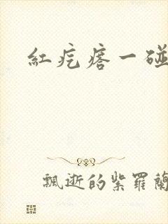 红疙瘩一碰就疼