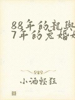 88年的龙与87年的兔婚姻