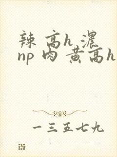 辣 高h 浓 np 肉 黄高h封面