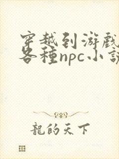 穿越到游戏里和各种npc小说