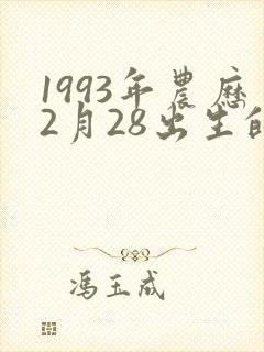 1993年农历2月28出生的命运