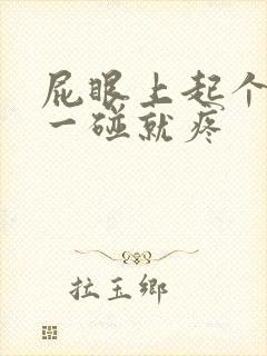 屁眼上起个疙瘩一碰就疼