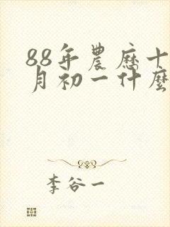 88年农历十一月初一什么命封面