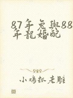 87年兔与88年龙婚配