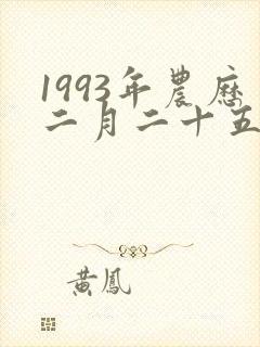 1993年农历二月二十五日