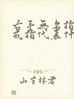 右手无名指上的戒指代表什么意义封面