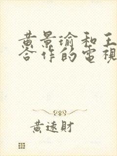 黄景瑜和王子奇合作的电视剧