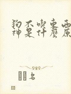 狗不吃东西没精神是什么原因