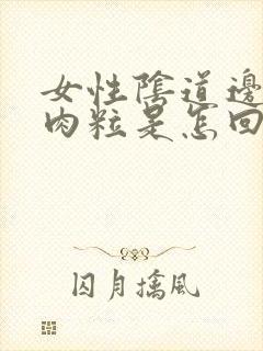 女性阴道边有小肉粒是怎回事