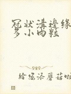 冠状沟边缘长很多小肉粒