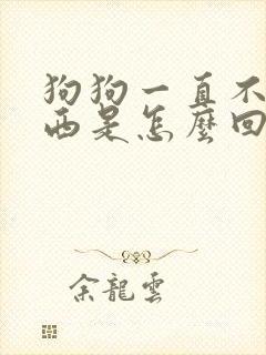 狗狗一直不吃东西是怎么回事