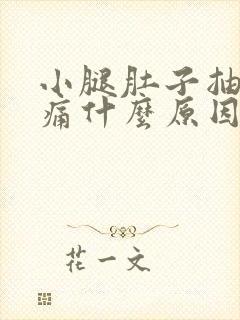 小腿肚子抽筋疼痛什么原因引起的