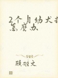 2个月幼犬拉稀怎么办