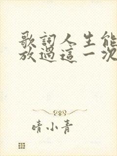 歌词人生能不能放过这一次下辈子是什么歌