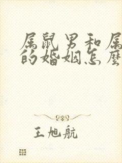 属鼠男和属虎女的婚姻怎么样