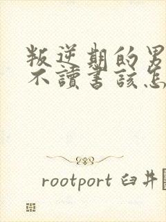 叛逆期的男孩子不读书该怎样去沟通教育