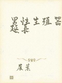 男性生殖器怎样延长