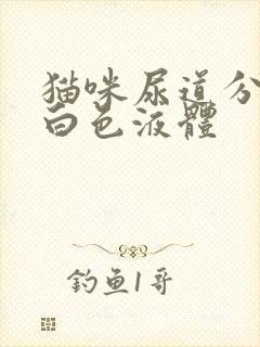 猫咪尿道分泌乳白色液体