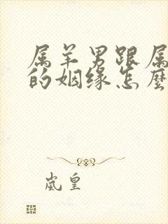 属羊男跟属鼠女的姻缘怎么样