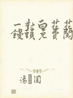 一对白花花的大馒头免费阅读