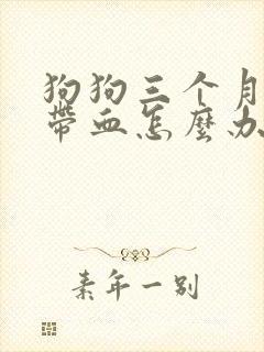 狗狗三个月拉稀带血怎么办