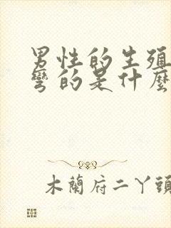 男性的生殖器是弯的是什么原因封面