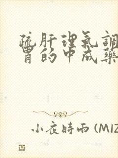 疏肝理气调理脾胃的中成药