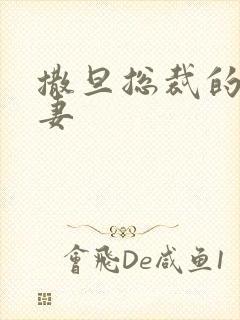 撒旦总裁的下堂妻封面